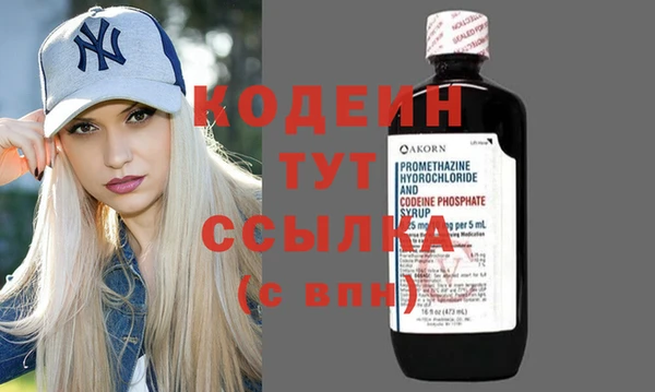 спиды Богородицк