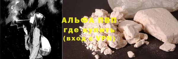 спиды Богородицк