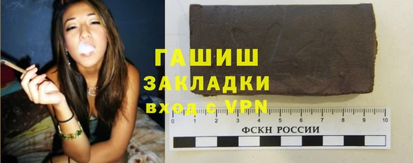 спиды Богородицк